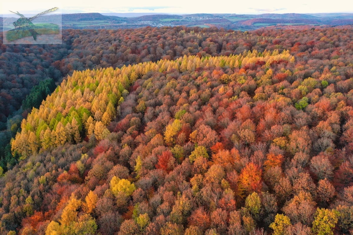 19Nov19-Eppelborn-62